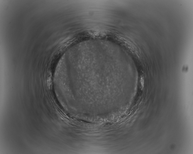X0000097840963200803281220