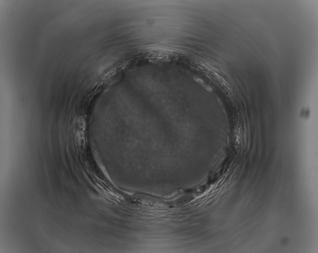X0000097840964200803281220