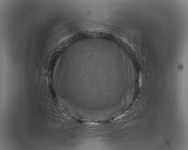 X0000097840965200803281220