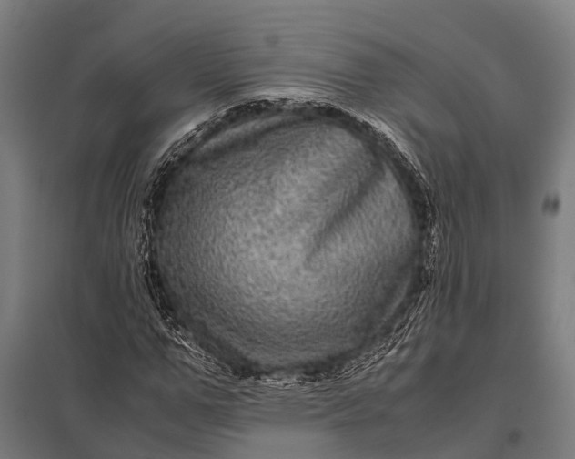 X0000097840967200803281220