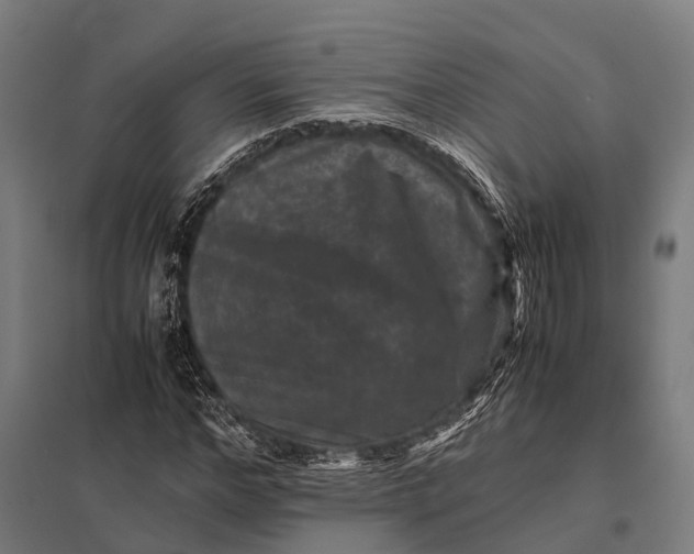 X0000097840968200803281220