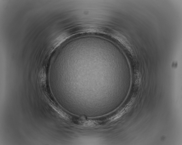 X0000097840969200803281220