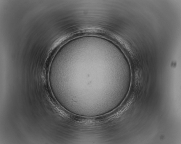 X0000097840970200803281220