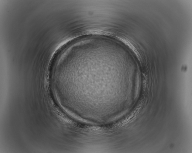 X0000097840971200803281220