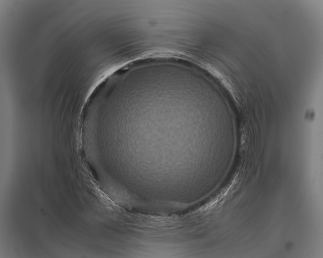X0000097840973200803281220