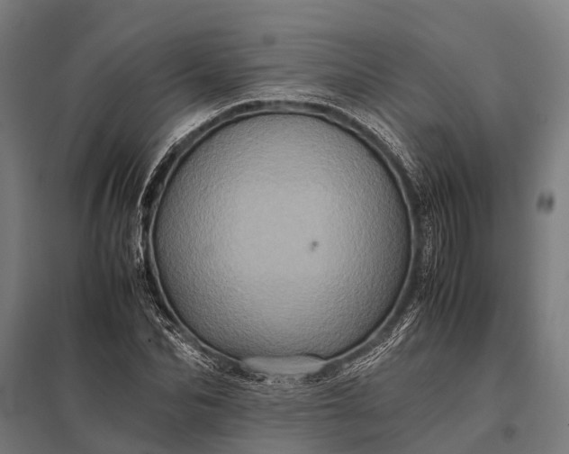 X0000097840974200803281220