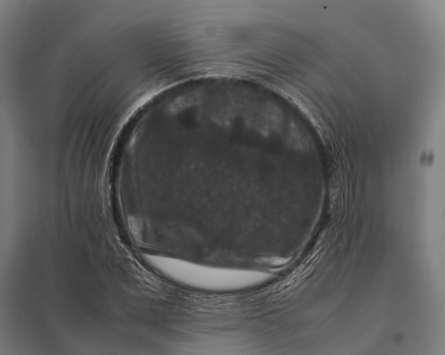 X0000097840975200803281220