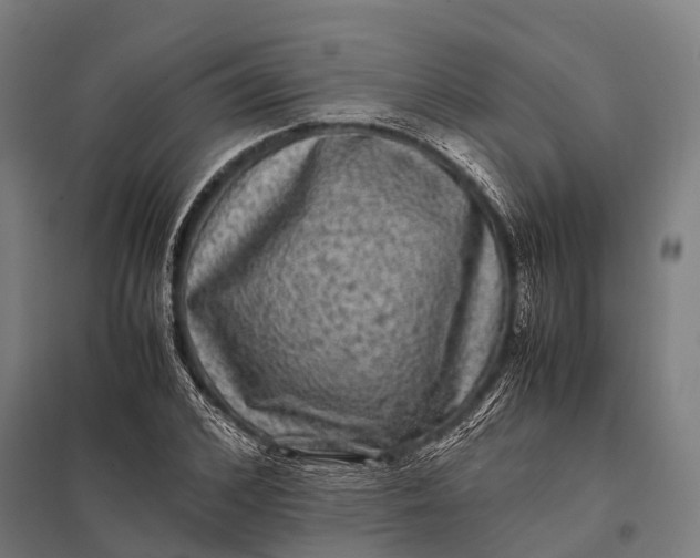 X0000097840976200803281220