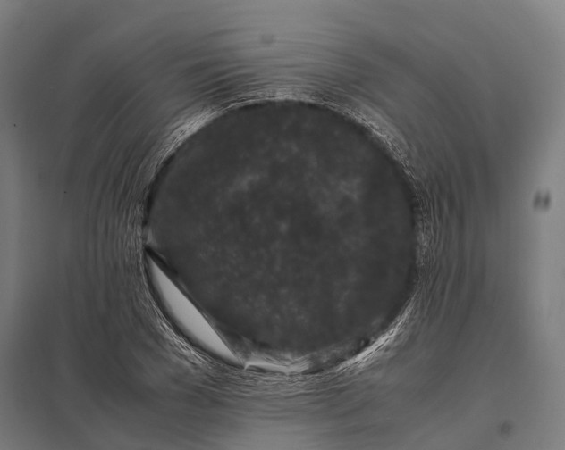X0000097840977200803281220