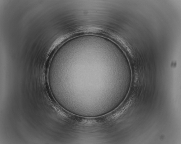 X0000097840978200803281220
