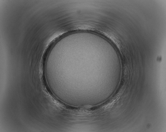 X0000097840979200803281220