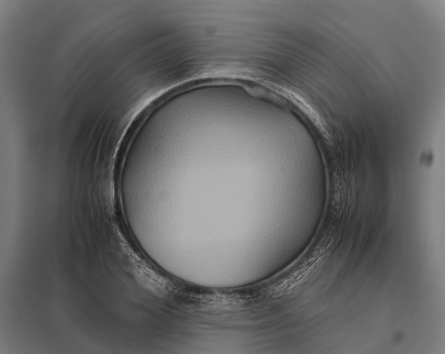 X0000097840980200803281220
