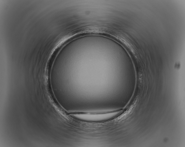 X0000097840981200803281220