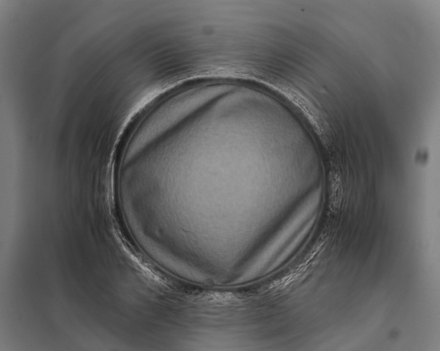 X0000097840982200803281220