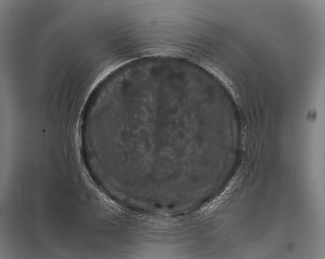 X0000097840983200803281220