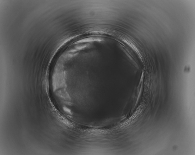 X0000097840984200803281220