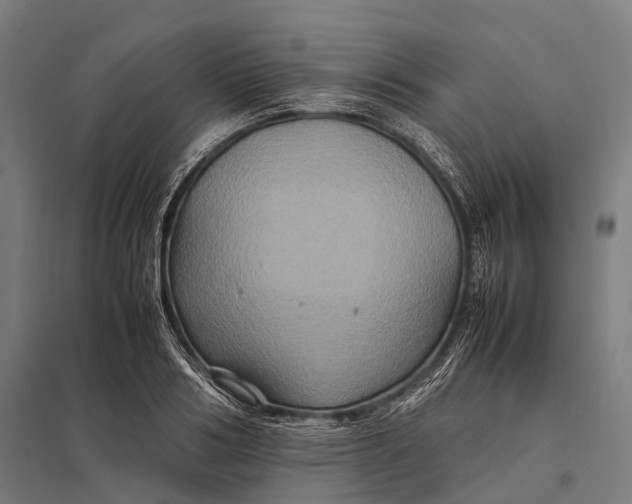 X0000097840986200803281220