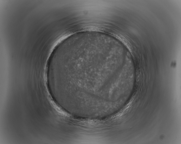 X0000097840987200803281220