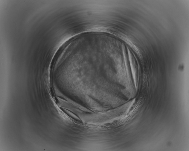 X0000097840988200803281220