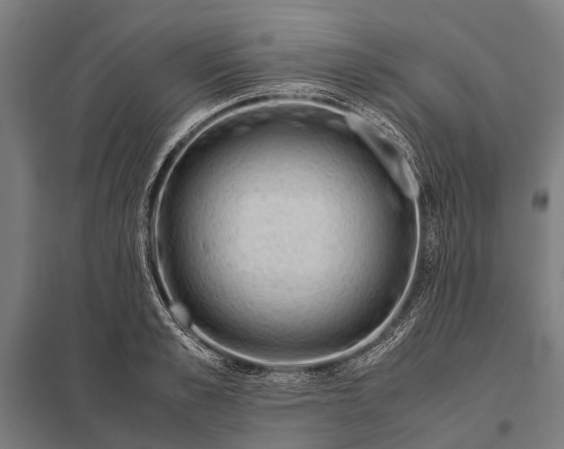 X0000097840989200803281220