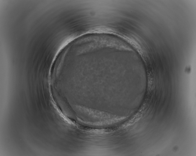 X0000097840990200803281220