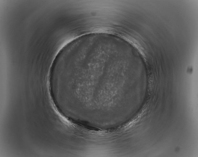 X0000097840991200803281220