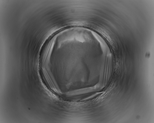 X0000097840992200803281220