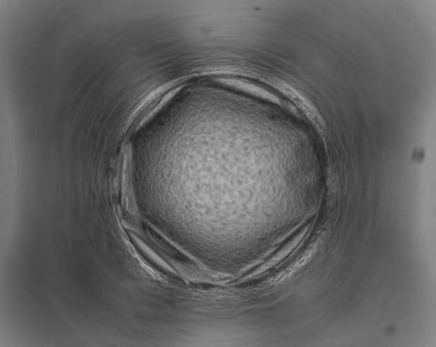 X0000097840993200803281220