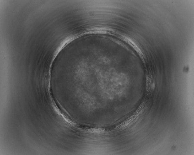 X0000097840994200803281220
