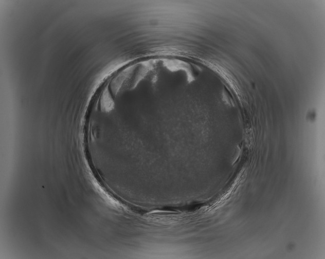 X0000097840995200803281220