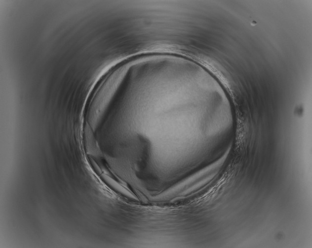 X0000097840996200803281220