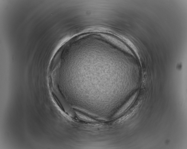 X0000097840997200803281220