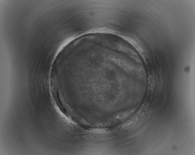 X0000097840998200803281220