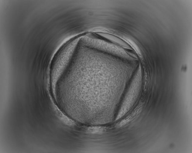 X0000097841000200803281220