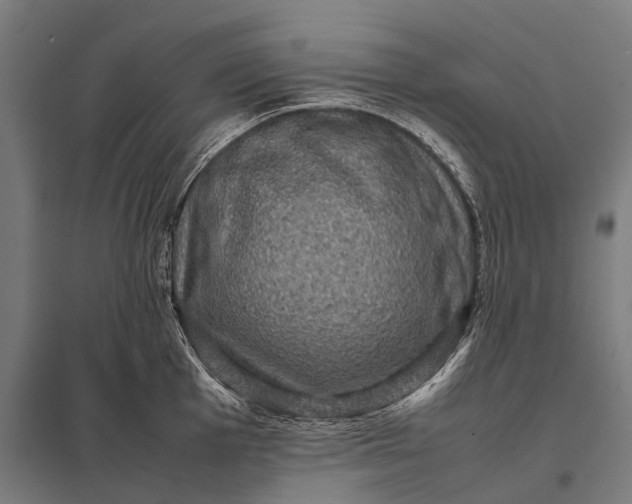 X0000097841001200803281219