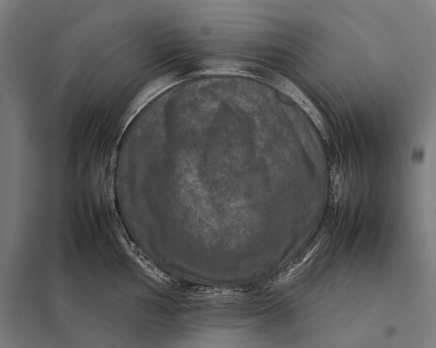 X0000097841002200803281219