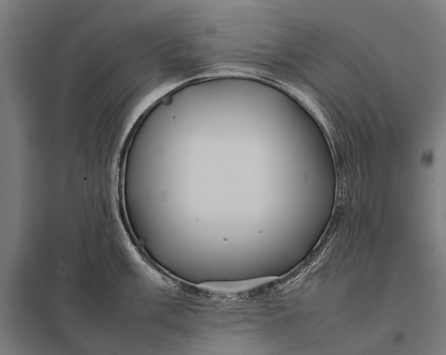 X0000097841003200803281219