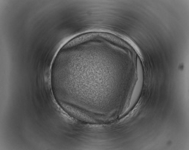 X0000097841004200803281219