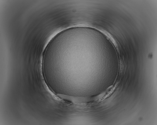 X0000097841006200803281219
