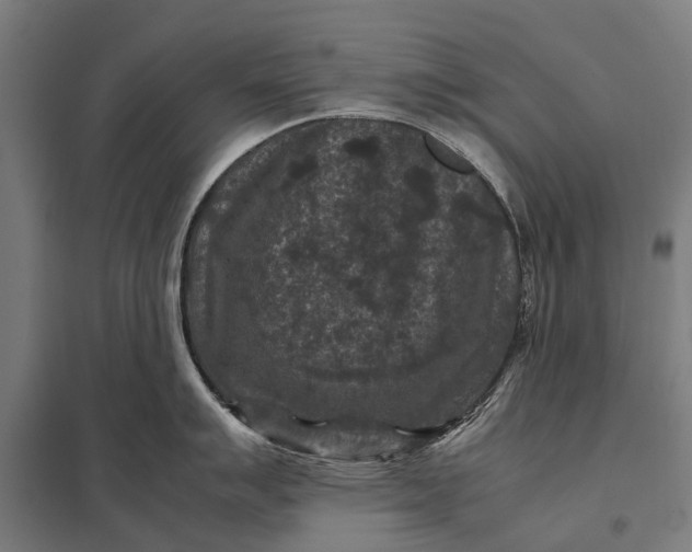 X0000097841007200803281219