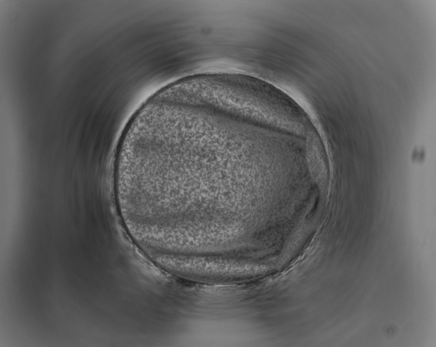 X0000097841008200803281219