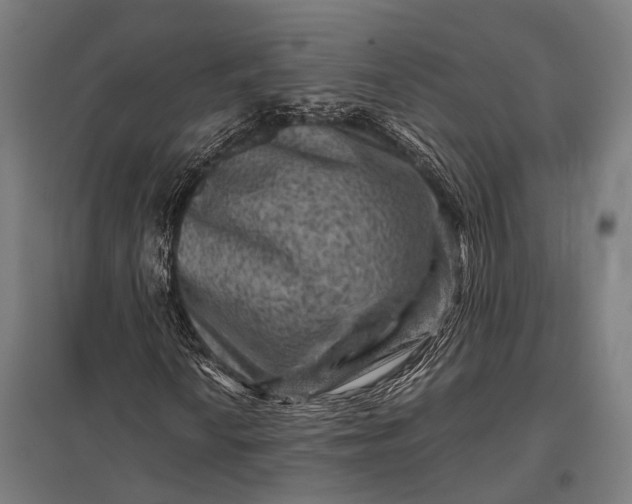 X0000097841010200803281219