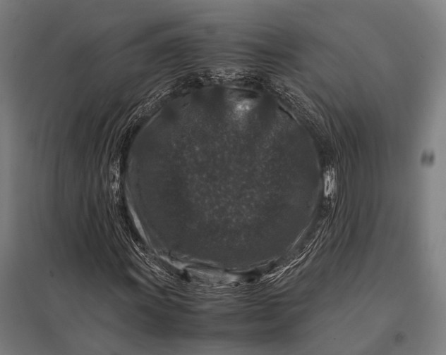 X0000097841011200803281219