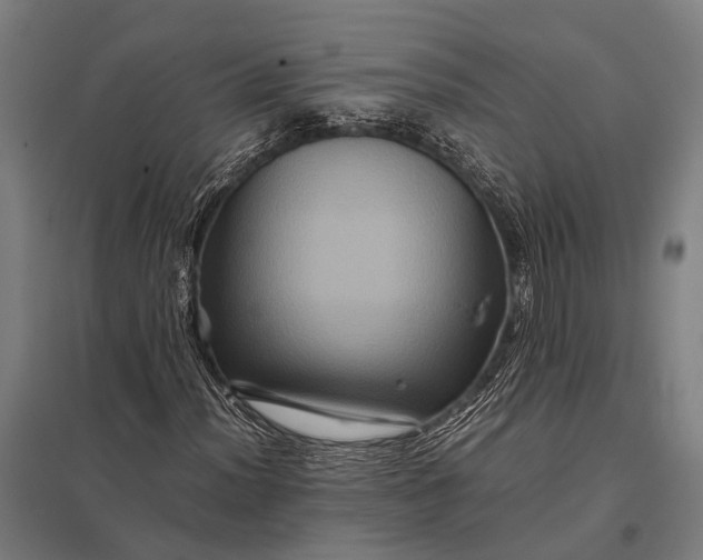X0000097841012200803281219