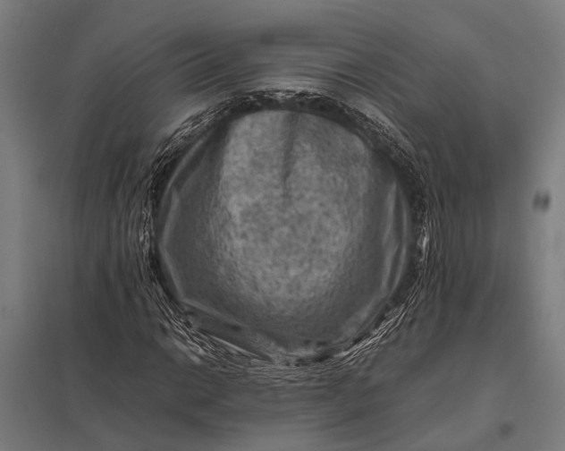 X0000097841014200803281219