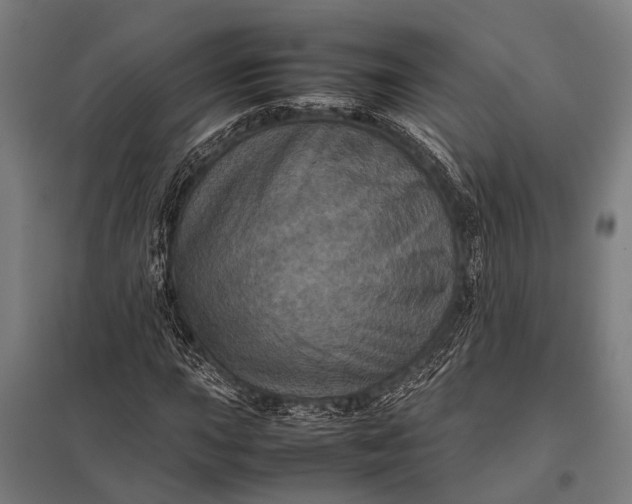 X0000097841015200803281219