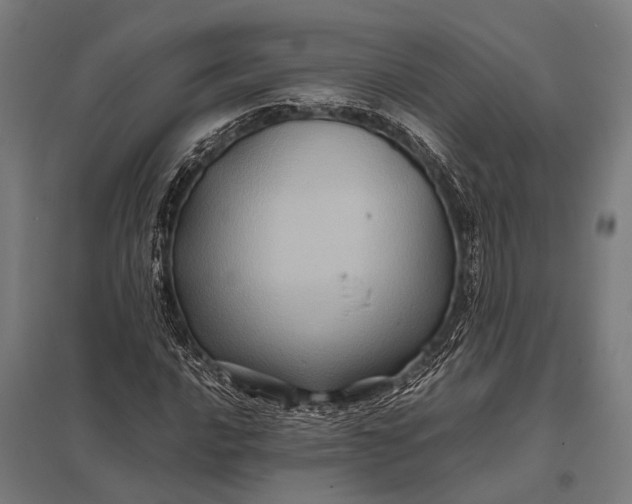 X0000097841016200803281219