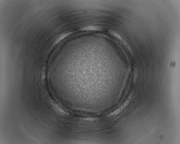X0000097841017200803281219