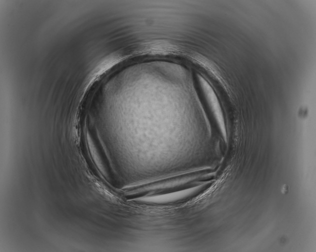 X0000097841018200803281219