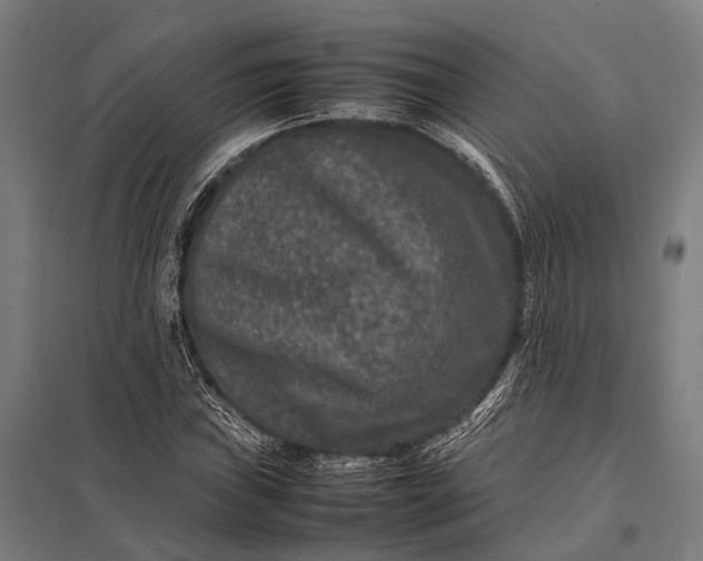 X0000097841019200803281219